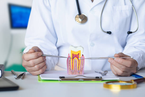 Best Dentist for Tooth Abscess  in Newcastle, OK